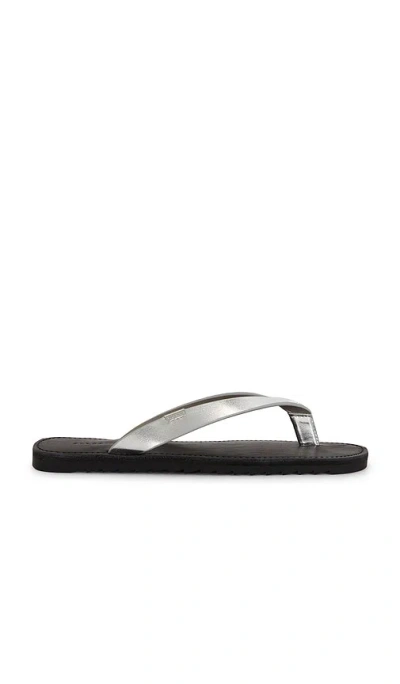 Allsaints Leather Sydney Flip Flops In Silver