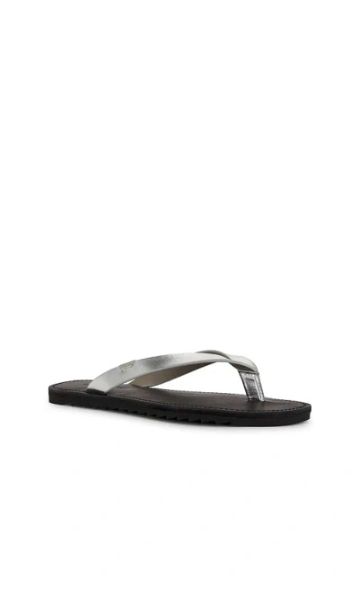 Allsaints Leather Sydney Flip Flops In Silver