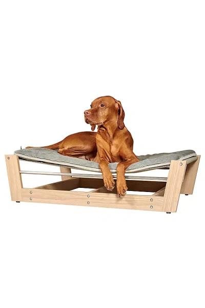 Bowsers Yugen Pet Bowsers Yugen Dog Bed Lounger
