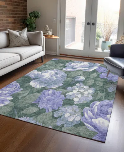 Addison Chantille Machine Washable Acn1563 8'x10' Area Rug