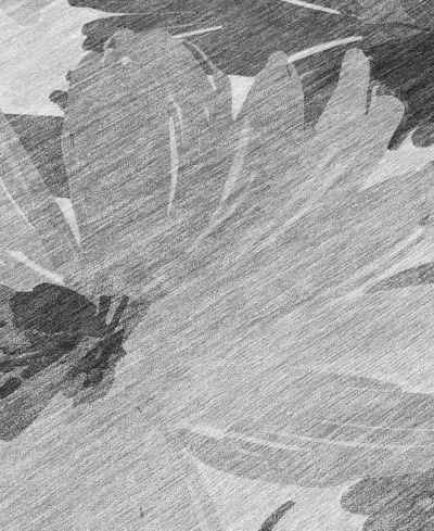 Addison Chantille Machine Washable Acn1483 8'x10' Area Rug