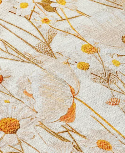 Addison Chantille Machine Washable Acn1500 2'6"x3'10" Area Rug