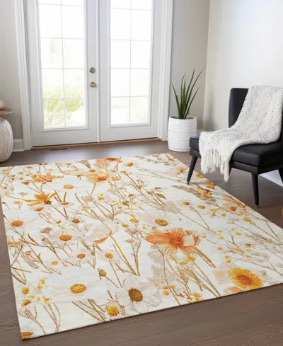 Addison Chantille Acn1500 3'x5' Area Rug