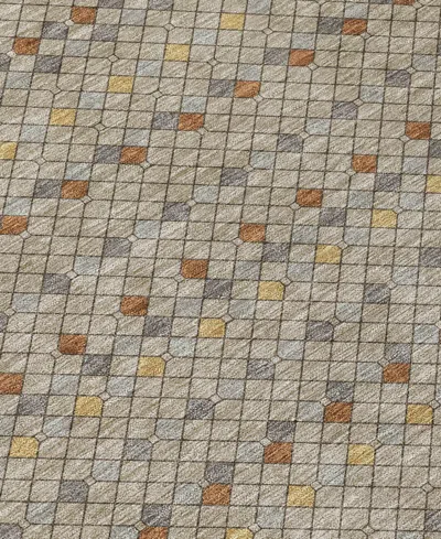 Addison Chantille Machine Washable Acn1418 8'x10' Area Rug