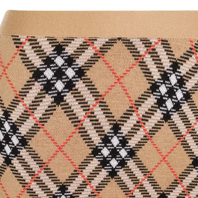 Burberry Embroidered Wool Blend Mini Skirt In Brown