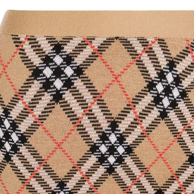 Burberry Embroidered Wool Blend Mini Skirt In Brown