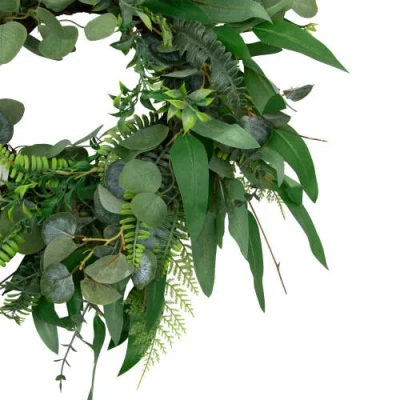 Northlight Eucalyptus And Fern Mixed Foliage Artificial Spring Wreath In Green