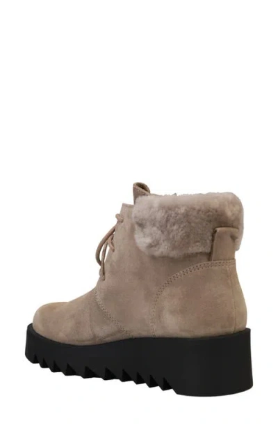 Eileen Fisher Desert Shearling Suede Ankle Booties