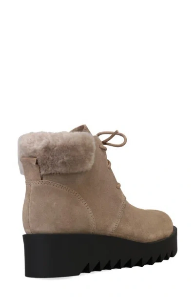 Eileen Fisher Desert Shearling Suede Ankle Booties