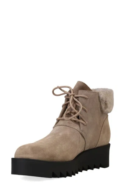 Eileen Fisher Desert Shearling Suede Ankle Booties