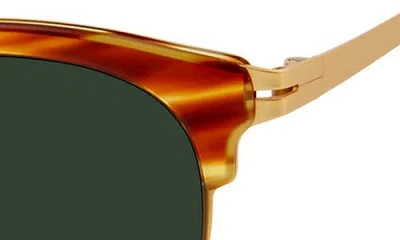 Modo Cat Eye Sunglasses