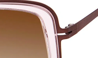 Modo Butterfly Sunglasses