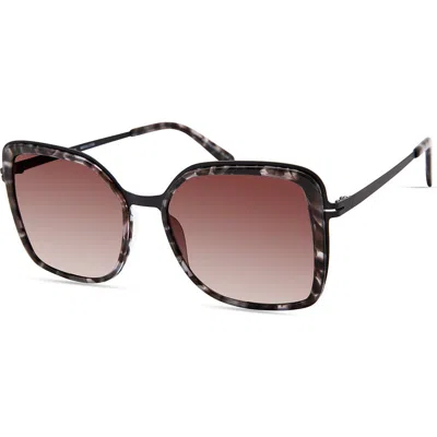 Modo Butterfly Sunglasses