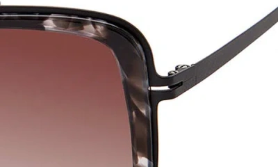 Modo Butterfly Sunglasses