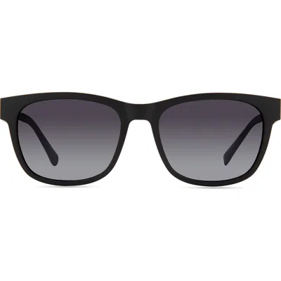 Eco Aino 53mm Polarized Square Sunglasses