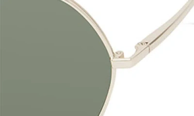 Eco Aloe Round Sunglasses