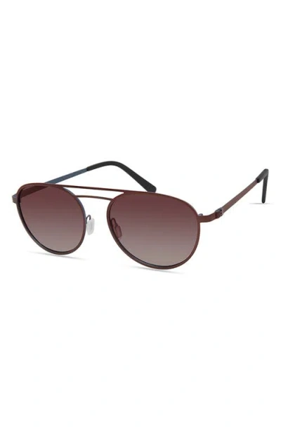 Eco Aspen Aviator Sunglasses