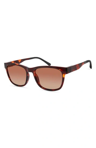 Eco Aino 53mm Polarized Square Sunglasses