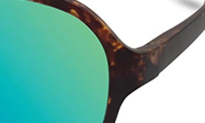 Eco Cimarron 56mm Polarized Shield Sunglasses