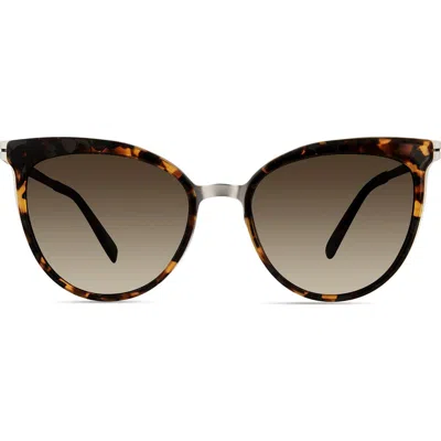 Modo Cat Eye Sunglasses
