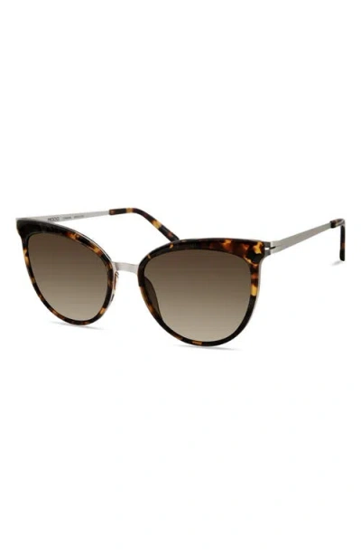 Modo Cat Eye Sunglasses