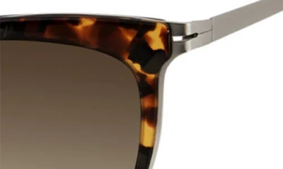 Modo Cat Eye Sunglasses