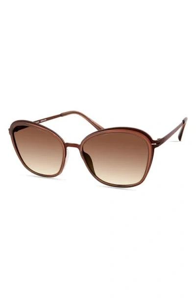 Modo Round Sunglasses