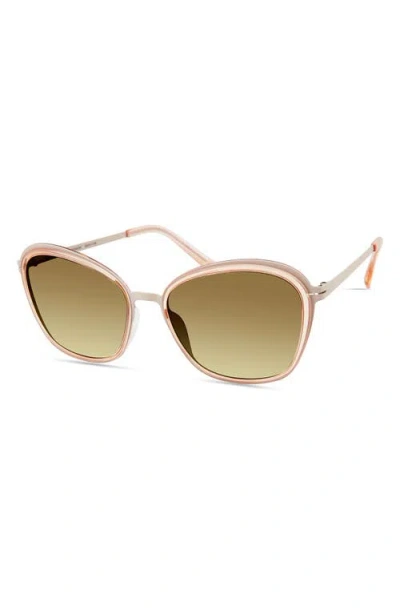 Modo Round Sunglasses