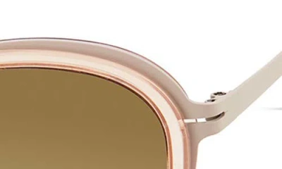 Modo Round Sunglasses