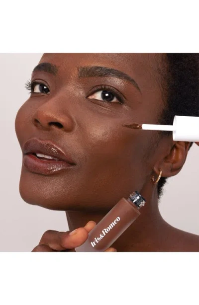 Iris & Romeo Best Skin Days Treatment Concealer With Vitamin C, Hyaluronic Acid And Niacinamide 13 0.22 oz