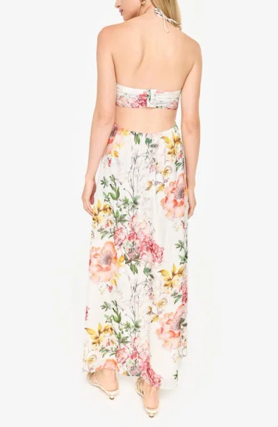 Cami Nyc Calliope Floral Print Silk Chiffon Maxi Dress In Multi