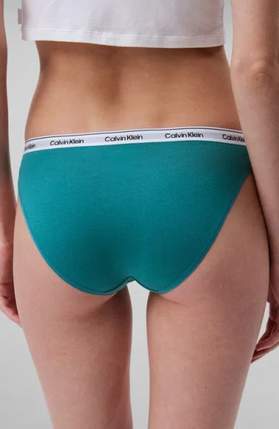 Calvin Klein Assorted 5-pack Logo Bikinis