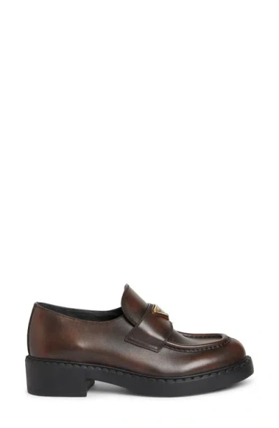 Prada Chocolate Logo Loafer