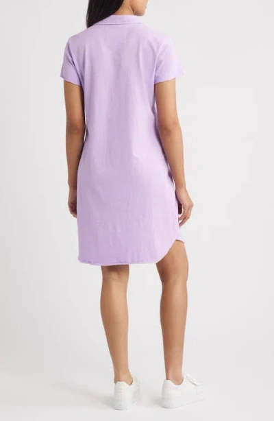 Frank & Eileen Lauren Polo Dress In Purple