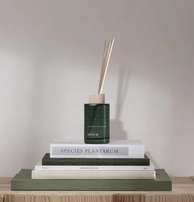 Skandinavisk Skog Scented Candle & Diffuser Set In Green