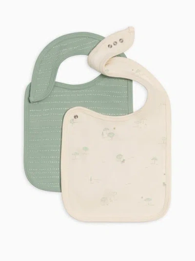 Colored Organics Organic 2-pack Bibs