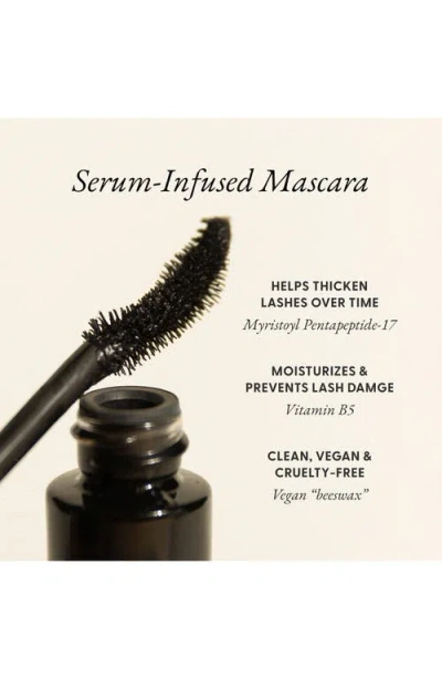 Iris & Romeo Lash Up Peptide Volumizing, Curling & Lengthening Mascara Friesian Black .39 oz / 11.6 G