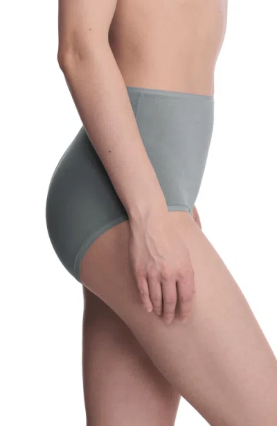 Natori Bliss Bare Cotton High Waist Brief In Gray