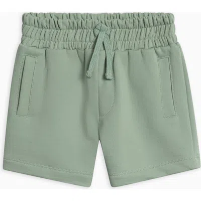 Colored Organics Chris Organic French Terry Shorts