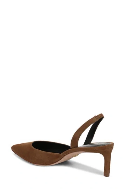 Veronica Beard Caroline Slingback Pointed Toe Kitten Heel Pump In Brown