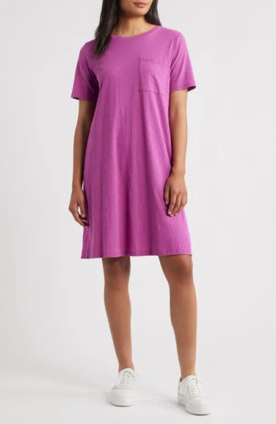 Eileen Fisher Organic Cotton T-shirt Dress In Purple