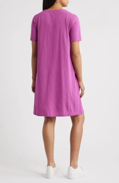 Eileen Fisher Organic Cotton T-shirt Dress In Purple