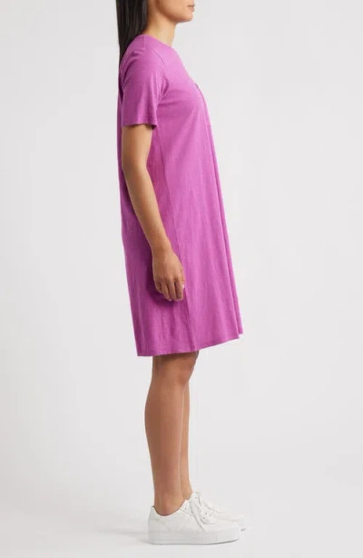Eileen Fisher Organic Cotton T-shirt Dress In Purple