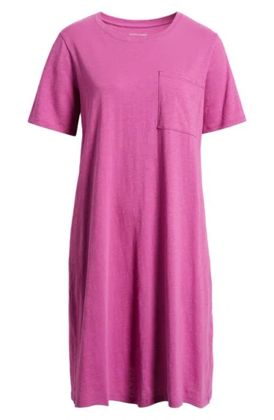 Eileen Fisher Organic Cotton T-shirt Dress In Purple