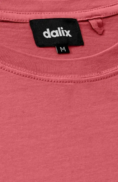 Dalix Mens Alien Midweight Garment Dye Tee