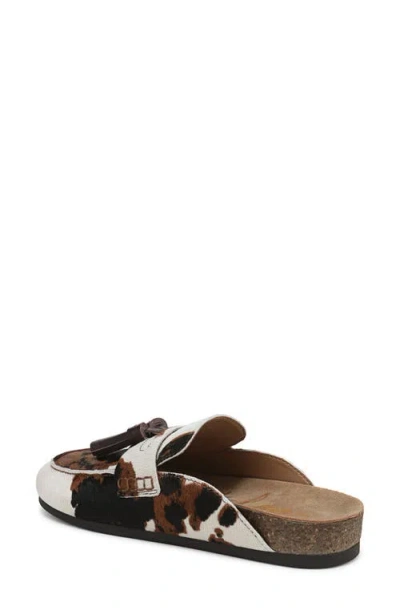 Sam Edelman Astrid Mule Brown Cow Print Calf Hair In Multi