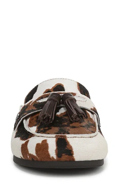 Sam Edelman Astrid Mule Brown Cow Print Calf Hair In Multi