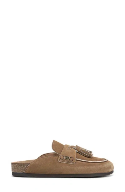 Sam Edelman Astrid Mule Terra Toffee Suede In Brown