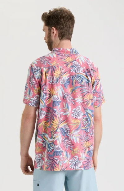 Salt Life Canopy Short Sleeve Button Down In Multi