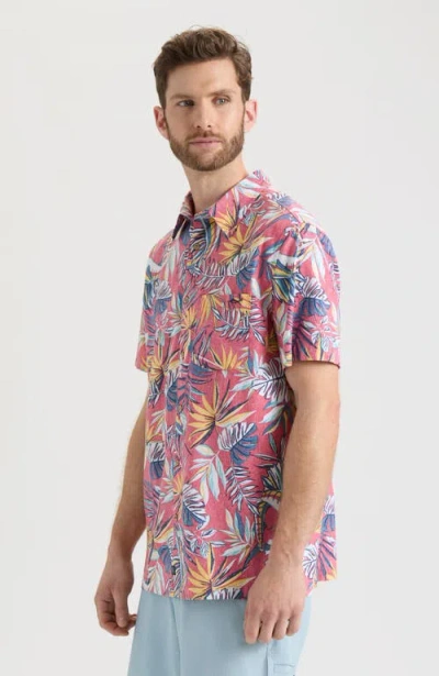 Salt Life Canopy Short Sleeve Button Down In Multi